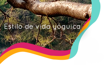 Estilo de Vida Yóguica