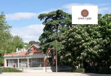 Clase de Yoga en el Retiro