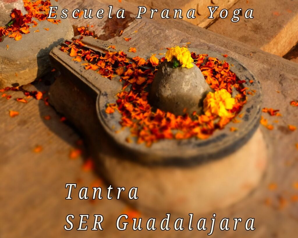 Mayte Aguado: La Energía Vital de India a Guadalajara - Tantra (30/11/2020)