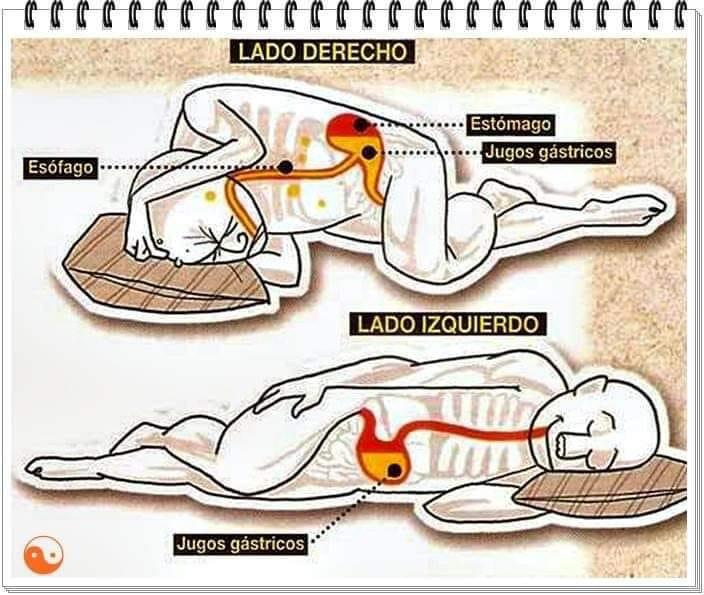 Sobre el lado izquierdo y postura semiembrión