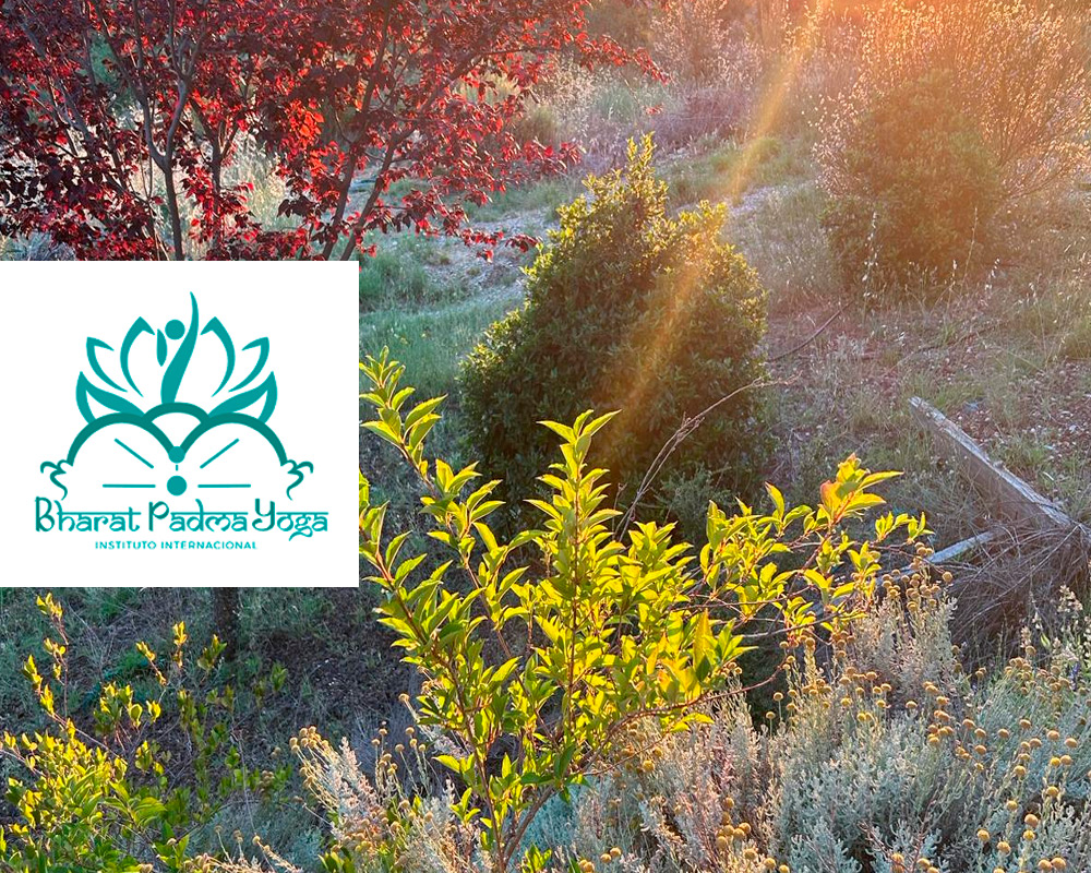 Tipos de meditación